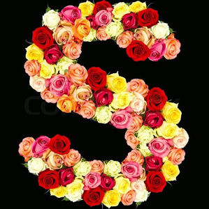 Meet your Posher, Sierra